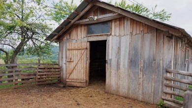 ‘I didn’t want to look at it’ ‘I didn’t want to look at it’