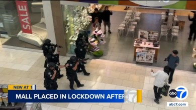 Hoax 911 call triggers police response, lockdown at mall in Arcadia Hoax 911 call triggers police response, lockdown at mall in Arcadia