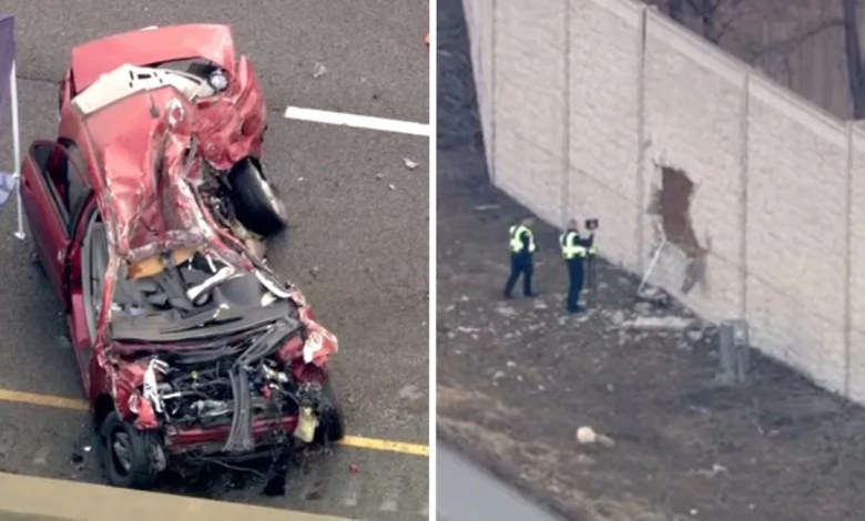 Police identify driver killed after car goes airborne, crashes through barrier onto I-55 Police identify driver killed after car goes airborne, crashes through barrier onto I-55