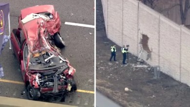 Police identify driver killed after car goes airborne, crashes through barrier onto I-55 Police identify driver killed after car goes airborne, crashes through barrier onto I-55