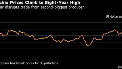 Pistachio Prices Hit Eight-Year High on War in Major Grower Iran Pistachio Prices Hit Eight-Year High on War in Major Grower Iran