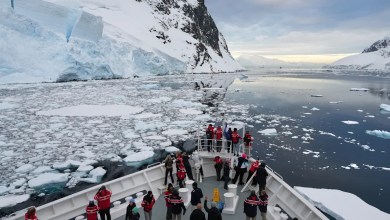 Antarctica’s tourism boom raises concerns about contamination and disease Antarctica’s tourism boom raises concerns about contamination and disease