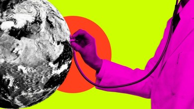 Scientists Detect Deep, Rhythmic Pulse Coming From Inside the Earth Scientists Detect Deep, Rhythmic Pulse Coming From Inside the Earth