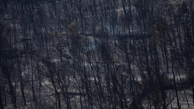Firefighters battle to prevent reignition of France’s largest wildfire as residents return home Firefighters battle to prevent reignition of France’s largest wildfire as residents return home