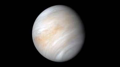 Key Driver of Extreme Winds on Venus Identified Key Driver of Extreme Winds on Venus Identified