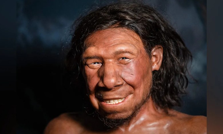 Neanderthals extracted animal fat in advanced food prep ‘fat factories’ 125,000 years ago: report Neanderthals extracted animal fat in advanced food prep ‘fat factories’ 125,000 years ago: report