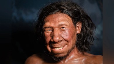 Neanderthals extracted animal fat in advanced food prep ‘fat factories’ 125,000 years ago: report Neanderthals extracted animal fat in advanced food prep ‘fat factories’ 125,000 years ago: report