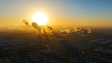 The largest sun of 2026 rises today as Earth draws closest to our parent star The largest sun of 2026 rises today as Earth draws closest to our parent star