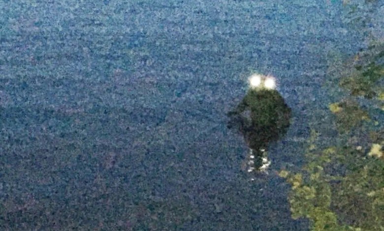 Loveland Frogman could become official Ohio cryptid under new bill Loveland Frogman could become official Ohio cryptid under new bill