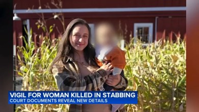 Pregnant woman killed in Downers Grove suffered 70 stab wounds: court docs Pregnant woman killed in Downers Grove suffered 70 stab wounds: court docs