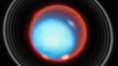 The James Webb Space Telescope just mapped auroras on Uranus in 3D for the 1st time, and scientists are thrilled The James Webb Space Telescope just mapped auroras on Uranus in 3D for the 1st time, and scientists are thrilled