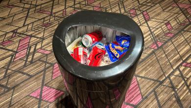 So very big, so little sustainability tech So very big, so little sustainability tech