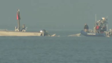 Search continues for missing plane crash victim after 5 killed, 2 rescued in Galveston: Officials Search continues for missing plane crash victim after 5 killed, 2 rescued in Galveston: Officials