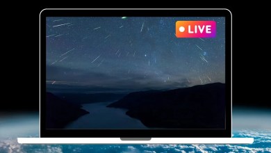 Watch the Lyrid meteor shower 2026 online today with these free livestreams Watch the Lyrid meteor shower 2026 online today with these free livestreams