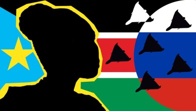 ‘My skin was peeling’ – the African women tricked into making Russian drones ‘My skin was peeling’ – the African women tricked into making Russian drones