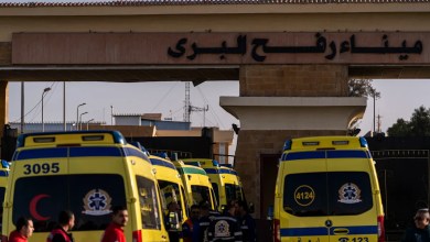 Israel partially reopens Rafah crossing between Egypt and Gaza in pilot Israel partially reopens Rafah crossing between Egypt and Gaza in pilot