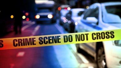 Bloomingdale man accused of killing son’s emotional support dog: DuPage County state’s attorney Bloomingdale man accused of killing son’s emotional support dog: DuPage County state’s attorney