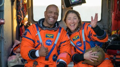 Artemis 2 astronauts celebrate successful return to Earth Artemis 2 astronauts celebrate successful return to Earth