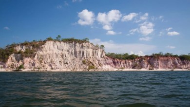 The Brazilian Fight Over Water Rights Proves the Little Guys Can Win The Brazilian Fight Over Water Rights Proves the Little Guys Can Win