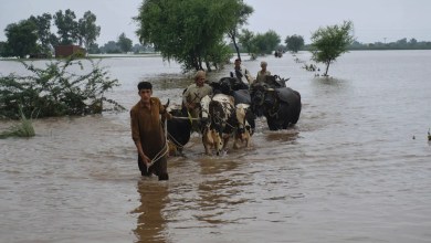 Pakistan’s Punjab faces biggest floods in its history, affecting 2 million people Pakistan’s Punjab faces biggest floods in its history, affecting 2 million people