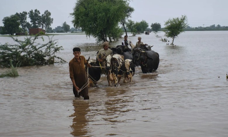 Pakistan’s Punjab faces biggest floods in its history, affecting 2 million people Pakistan’s Punjab faces biggest floods in its history, affecting 2 million people