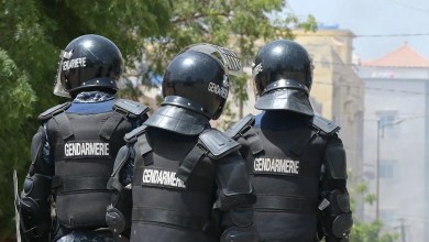 Senegal arrests 14 members of alleged paedophile gang linked to France Senegal arrests 14 members of alleged paedophile gang linked to France
