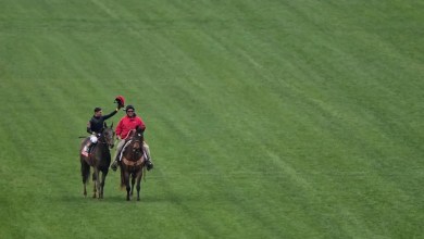 Another Preakness Stakes without the Kentucky Derby winner is a warning: The Triple Crown needs fixing Another Preakness Stakes without the Kentucky Derby winner is a warning: The Triple Crown needs fixing