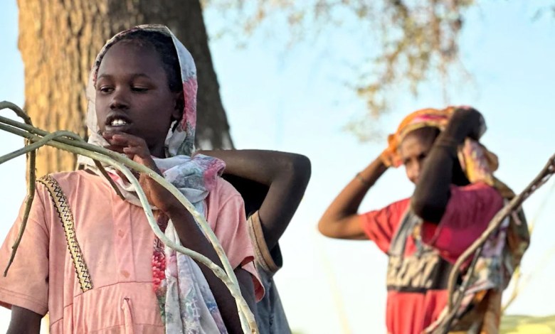 More than 60,000 flee Sudanese city after its capture by RSF militia More than 60,000 flee Sudanese city after its capture by RSF militia