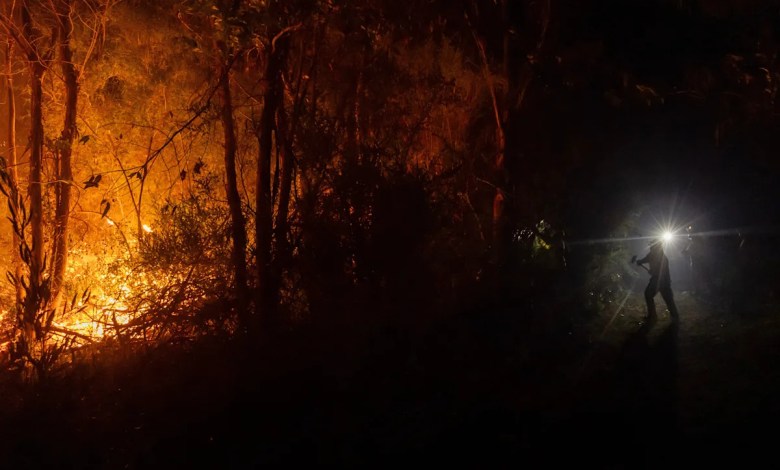 Why Chile’s wildfires are spreading faster and burning hotter Why Chile’s wildfires are spreading faster and burning hotter