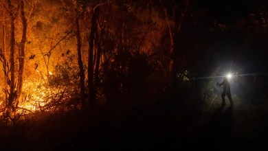 Why Chile’s wildfires are spreading faster and burning hotter Why Chile’s wildfires are spreading faster and burning hotter