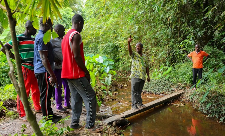 Residents turn to community patrols as illegal gold mining grows in Ghana Residents turn to community patrols as illegal gold mining grows in Ghana