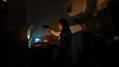 Scientists trying to unravel one of the body’s biggest mysteries Scientists trying to unravel one of the body’s biggest mysteries