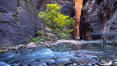 This epic national park hike is a wild and wet adventure you’ll never forget This epic national park hike is a wild and wet adventure you’ll never forget