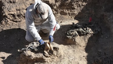 Iraq starts mass grave excavation from ISIL (ISIS) carnage south of Mosul Iraq starts mass grave excavation from ISIL (ISIS) carnage south of Mosul