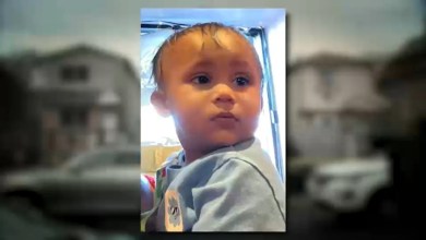 Mother in custody after 15-month-old child dies in Queens Mother in custody after 15-month-old child dies in Queens