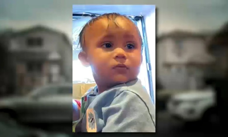 Mother in custody after 15-month-old child dies in Queens Mother in custody after 15-month-old child dies in Queens