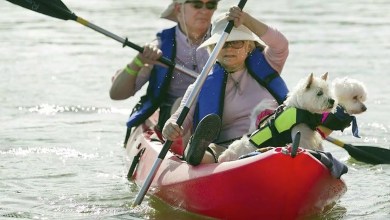 Affordable Austin Valentine’s Day dates that don’t feel cheap Affordable Austin Valentine’s Day dates that don’t feel cheap