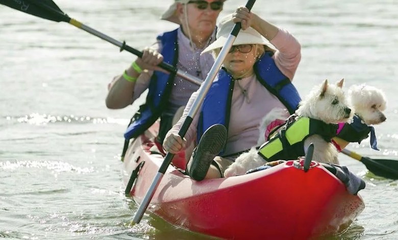 Affordable Austin Valentine’s Day dates that don’t feel cheap Affordable Austin Valentine’s Day dates that don’t feel cheap