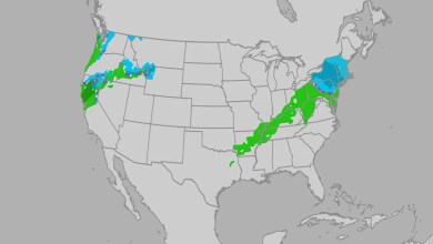 Christmas Travel Weather Could Have Its Headaches In Parts Of The US, Especially In the East And West Christmas Travel Weather Could Have Its Headaches In Parts Of The US, Especially In the East And West
