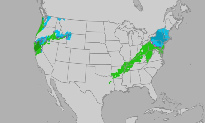 Christmas Travel Weather Could Have Its Headaches In Parts Of The US, Especially In the East And West Christmas Travel Weather Could Have Its Headaches In Parts Of The US, Especially In the East And West