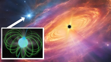 an extremely magnetic dead star an extremely magnetic dead star