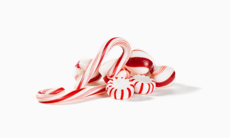 Mint, Anyone? The Scent of Peppermint Could Make You a Better Driver, Report Says Mint, Anyone? The Scent of Peppermint Could Make You a Better Driver, Report Says