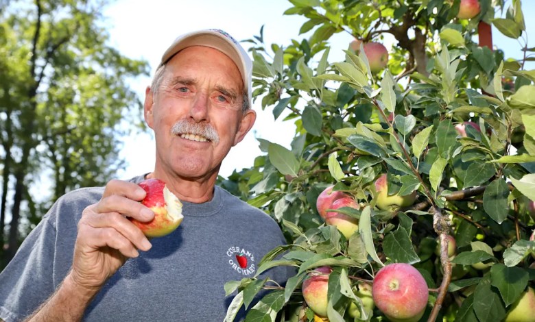 Rockford’s Curran’s Orchard says solar farm would be ‘devastating’ Rockford’s Curran’s Orchard says solar farm would be ‘devastating’