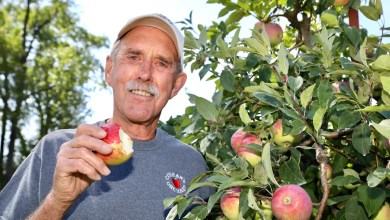 Rockford’s Curran’s Orchard says solar farm would be ‘devastating’ Rockford’s Curran’s Orchard says solar farm would be ‘devastating’