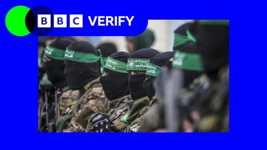 Footage shows public executions in Gaza City street Footage shows public executions in Gaza City street