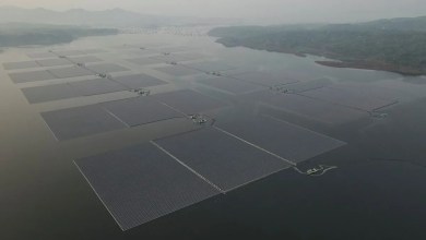 Renewables overtake coal as world’s primary source of electricity Renewables overtake coal as world’s primary source of electricity