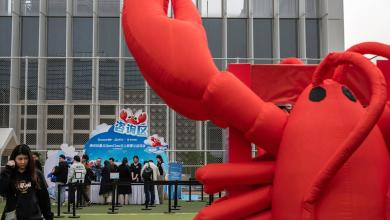 How OpenClaw turned into China’s next big thing How OpenClaw turned into China’s next big thing
