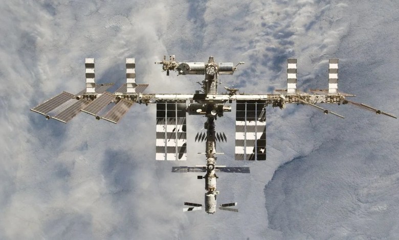 This moss survived 9 months outside the International Space Station and could still grow on Earth This moss survived 9 months outside the International Space Station and could still grow on Earth