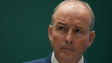 Taoiseach calls for Herzog Park renaming plan to be withdrawn Taoiseach calls for Herzog Park renaming plan to be withdrawn