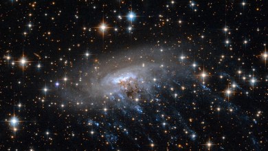 James Webb Space Telescope spots a stunning ‘cosmic jellyfish’ solve the mysteries of galactic evolution (photo) James Webb Space Telescope spots a stunning ‘cosmic jellyfish’ solve the mysteries of galactic evolution (photo)